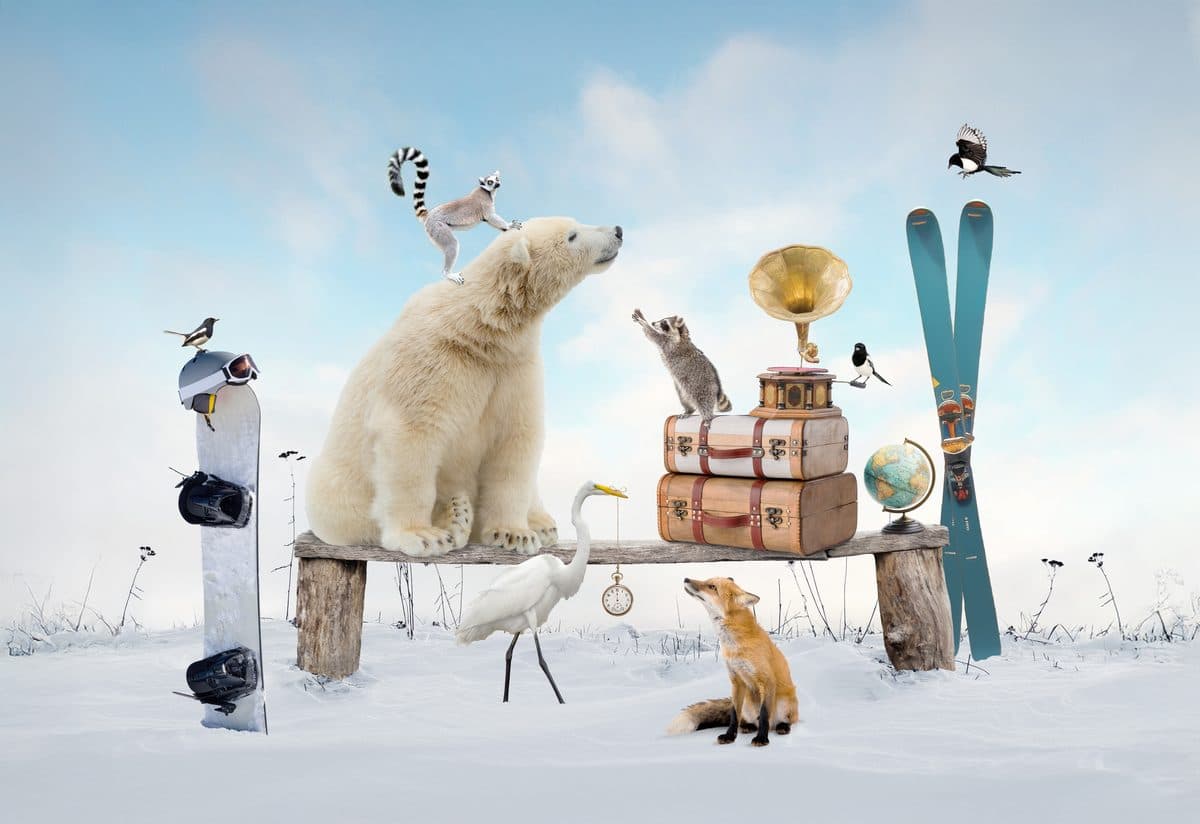 Ski Buddies — winter skiing fine art print by Dana Klein Creative, Park City Utah