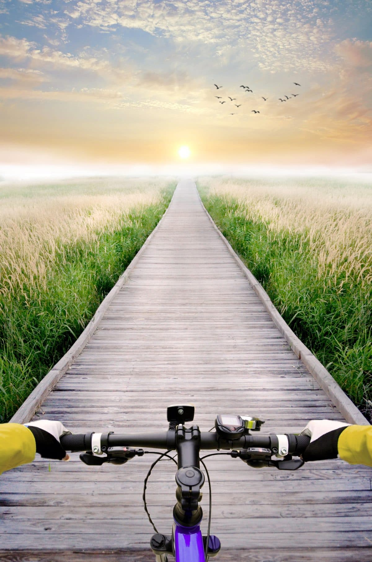 The Ride — winter horseback riding fine art print by Dana Klein Creative, Park City Utah