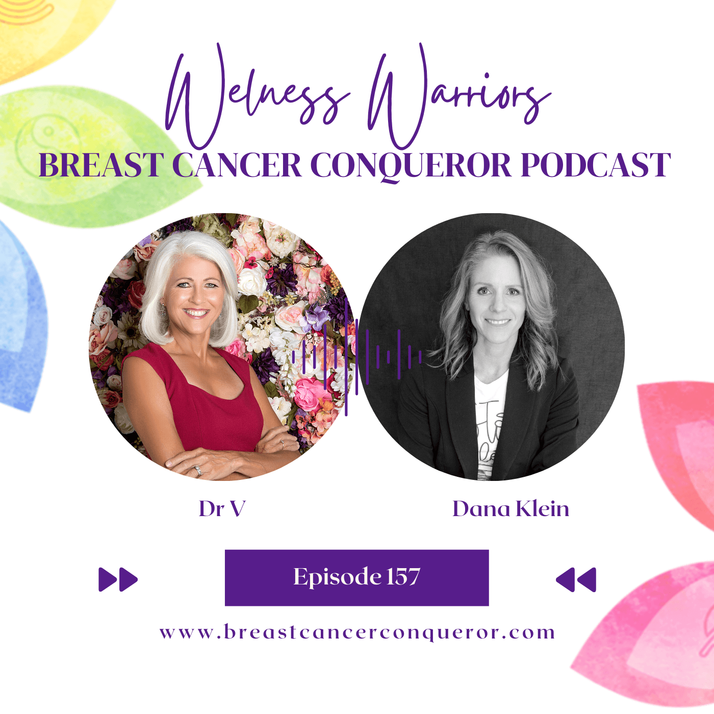 Dana Klein on the Breast Cancer Conqueror Wellness Warriors podcast with Dr V