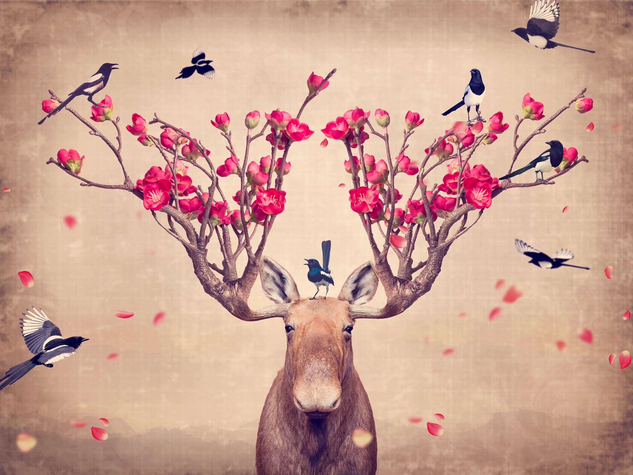 Bloom With Grace — signed limited edition fine art print from the Moose and Magpies collection by Dana Klein